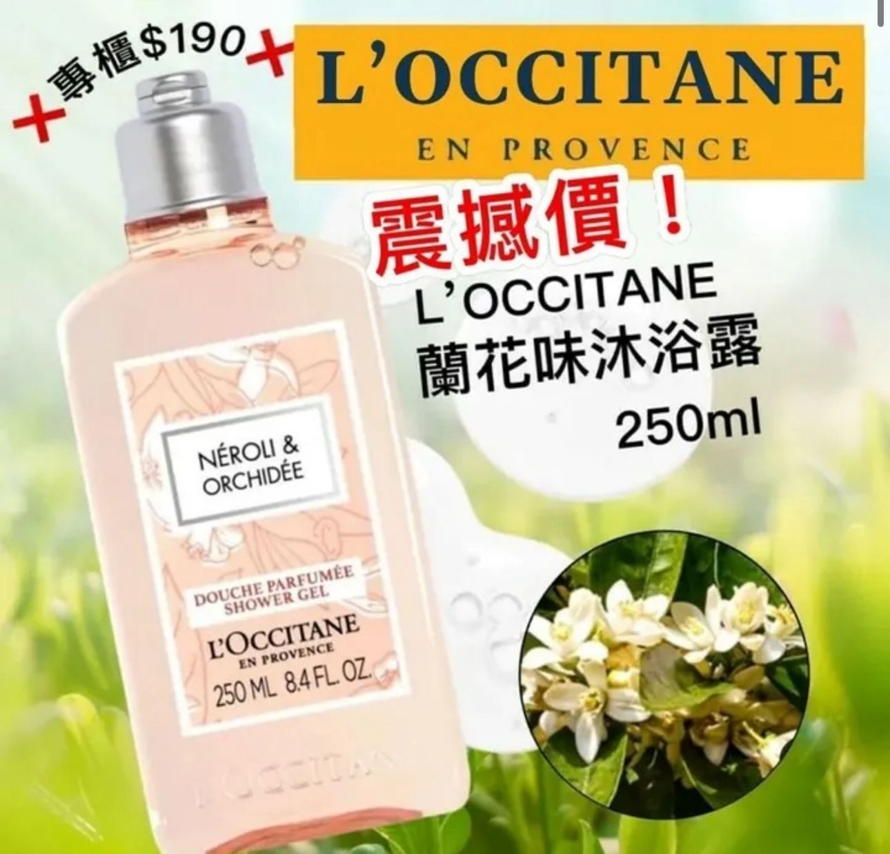 現貨❤️ L'OCCITANE 歐舒丹蘭花沐浴露 250ml