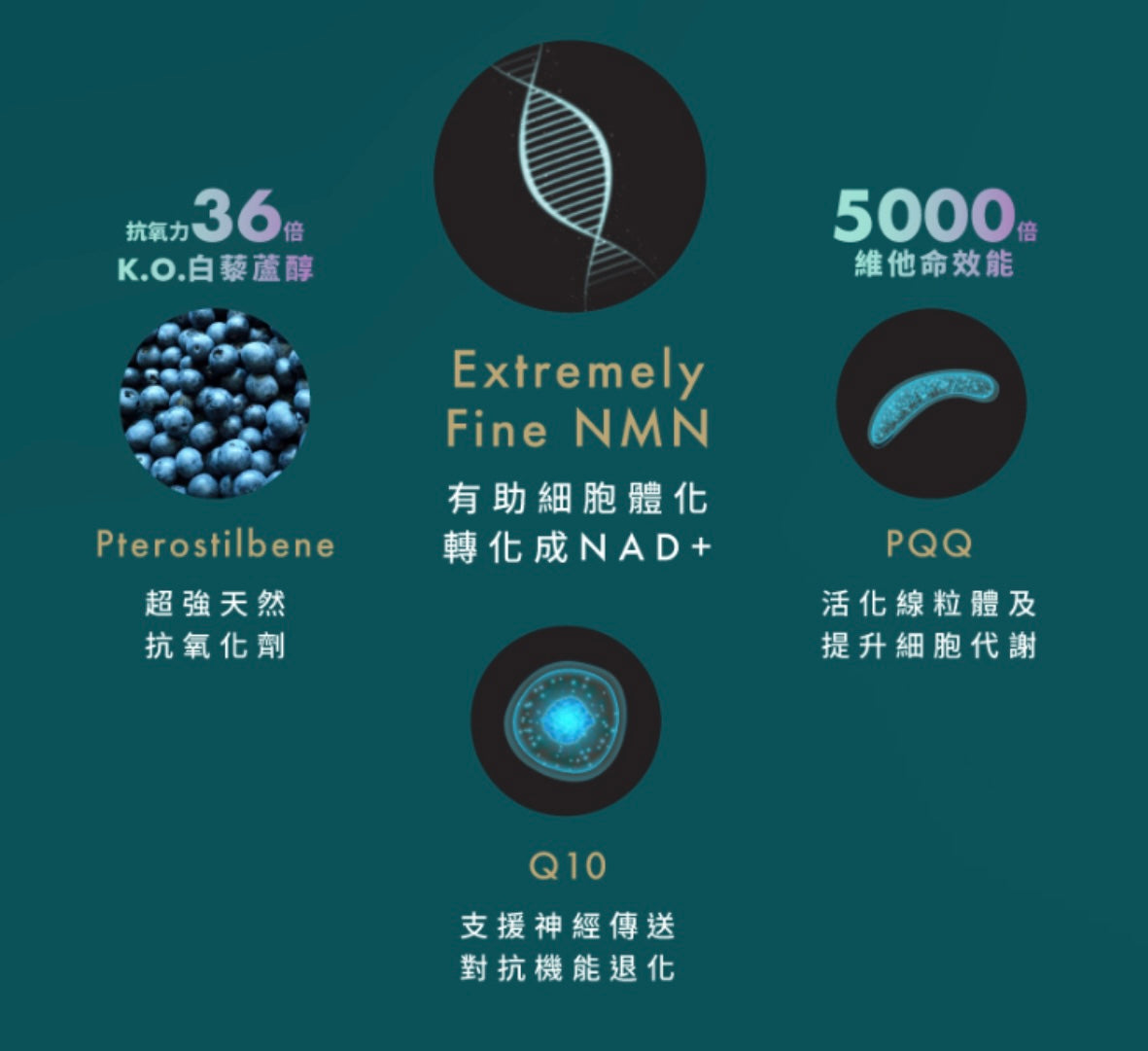 現貨❤️Bob代言 Be Legend NMN 一盒30粒(香港總代理公司出貨)