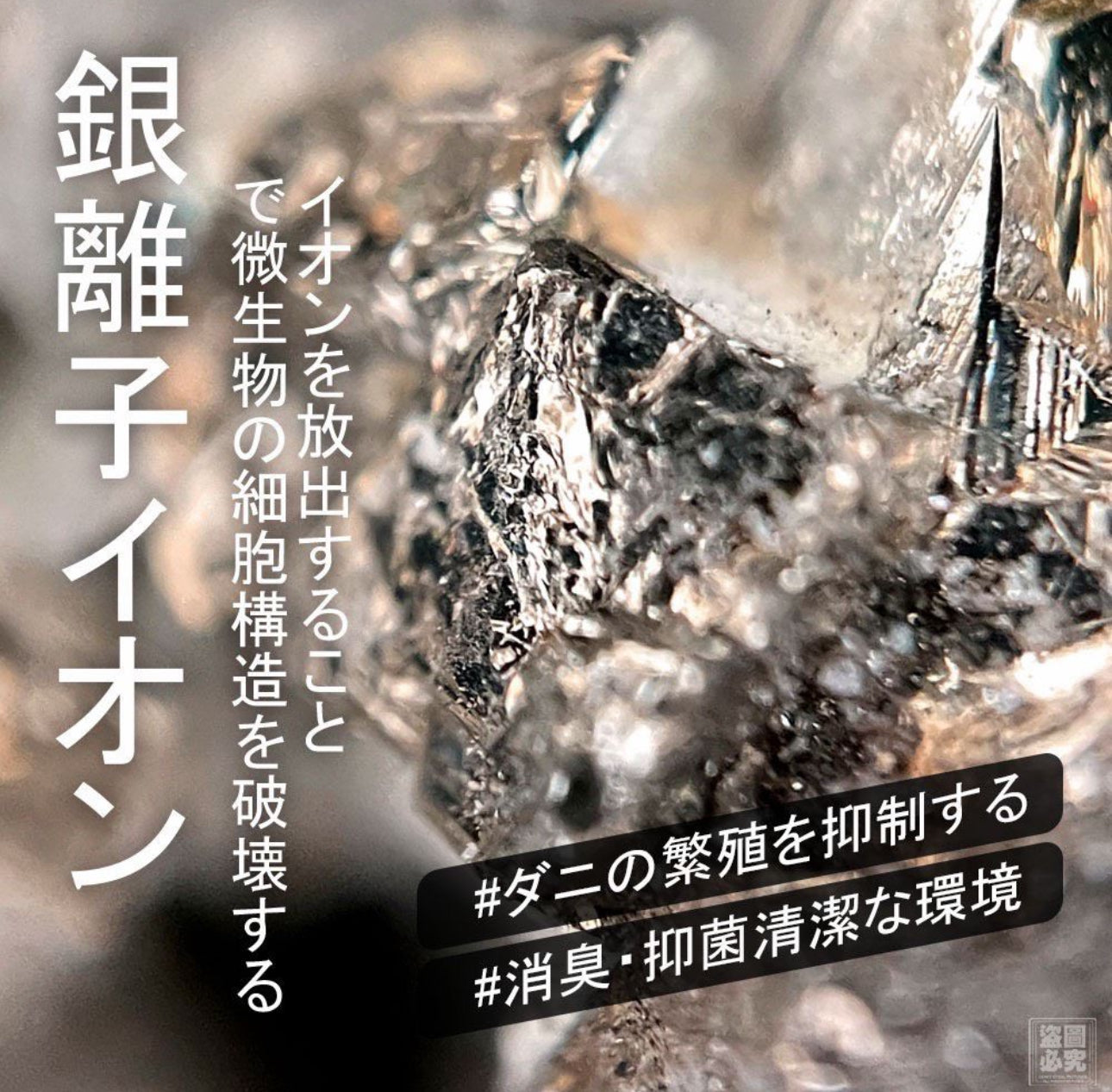 現貨❤️日本原裝製造 專業長效除蟎片(1袋)