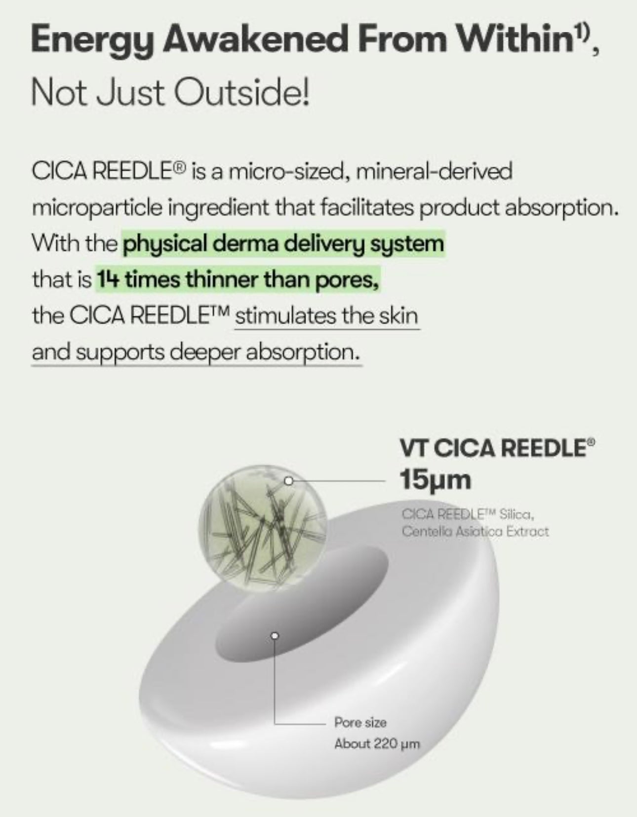 現貨❤️VT PDRN Reedle Shot Hair Ampoule防脫激活生髮頭皮精華100針 15ml