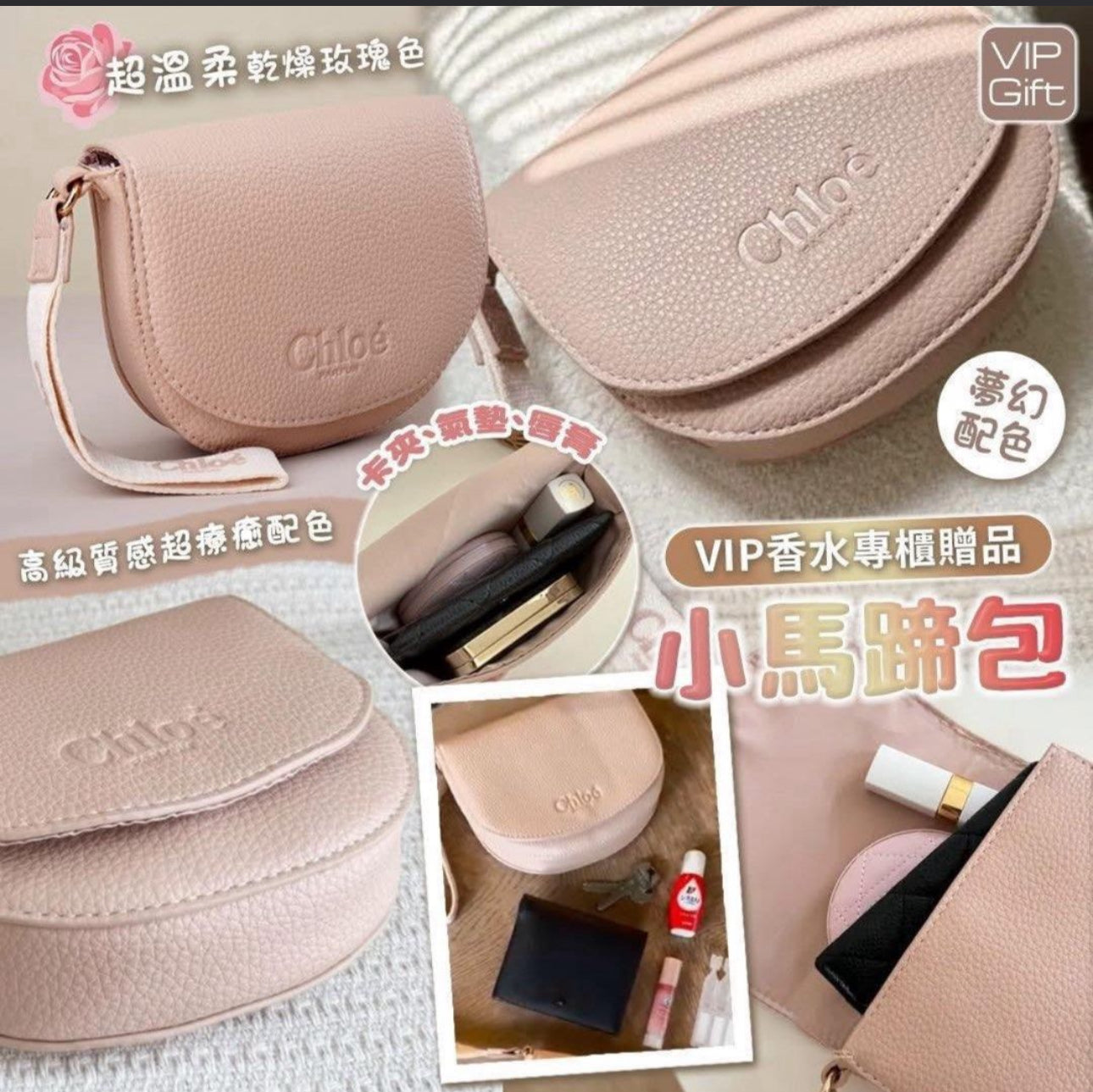 現貨❤️限量🌸CHLOE 皮革小豬手提包 (有盒)